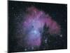 Nebula-Digital Vision.-Mounted Photographic Print