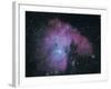 Nebula-Digital Vision.-Framed Photographic Print