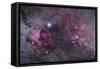 Nebulosity in Cygnus-null-Framed Stretched Canvas