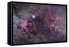 Nebulosity in Cygnus-null-Framed Stretched Canvas