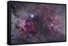 Nebulosity in Cygnus-null-Framed Stretched Canvas