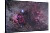 Nebulosity in Cygnus-null-Stretched Canvas