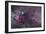 Nebulosity in Cygnus-null-Framed Photographic Print