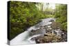 Necarney Creek, and Suspension Bridge, Oswald West State Park, Oregon, USA-Jamie & Judy Wild-Stretched Canvas