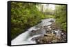 Necarney Creek, and Suspension Bridge, Oswald West State Park, Oregon, USA-Jamie & Judy Wild-Framed Stretched Canvas