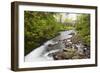 Necarney Creek, and Suspension Bridge, Oswald West State Park, Oregon, USA-Jamie & Judy Wild-Framed Photographic Print