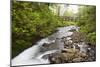 Necarney Creek, and Suspension Bridge, Oswald West State Park, Oregon, USA-Jamie & Judy Wild-Mounted Photographic Print