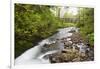 Necarney Creek, and Suspension Bridge, Oswald West State Park, Oregon, USA-Jamie & Judy Wild-Framed Photographic Print