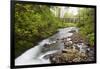 Necarney Creek, and Suspension Bridge, Oswald West State Park, Oregon, USA-Jamie & Judy Wild-Framed Photographic Print