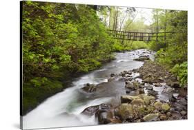 Necarney Creek, and Suspension Bridge, Oswald West State Park, Oregon, USA-Jamie & Judy Wild-Stretched Canvas