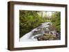 Necarney Creek, and Suspension Bridge, Oswald West State Park, Oregon, USA-Jamie & Judy Wild-Framed Photographic Print