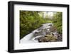 Necarney Creek, and Suspension Bridge, Oswald West State Park, Oregon, USA-Jamie & Judy Wild-Framed Photographic Print