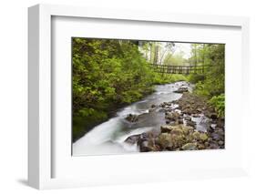 Necarney Creek, and Suspension Bridge, Oswald West State Park, Oregon, USA-Jamie & Judy Wild-Framed Photographic Print