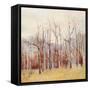 Necessary Change, Fall-Danna Harvey-Framed Stretched Canvas