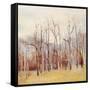 Necessary Change, Fall-Danna Harvey-Framed Stretched Canvas