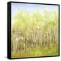 Necessary Change, Spring-Danna Harvey-Framed Stretched Canvas