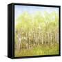 Necessary Change, Spring-Danna Harvey-Framed Stretched Canvas