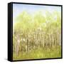 Necessary Change, Spring-Danna Harvey-Framed Stretched Canvas