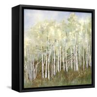 Necessary Change, Summer-Danna Harvey-Framed Stretched Canvas