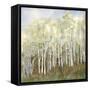 Necessary Change, Summer-Danna Harvey-Framed Stretched Canvas