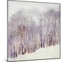 Necessary Change, Winter-Danna Harvey-Mounted Premium Giclee Print