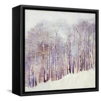 Necessary Change, Winter-Danna Harvey-Framed Stretched Canvas