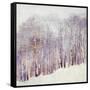 Necessary Change, Winter-Danna Harvey-Framed Stretched Canvas