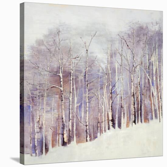 Necessary Change, Winter-Danna Harvey-Stretched Canvas