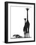 Neck and Neck, Chyulus, 2018-Eric Meyer-Framed Photographic Print