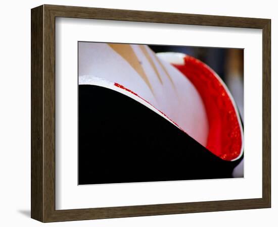 Neck Surrounded by Collar of Kimono Og Geisha in Gion, Kyoto, Japan-Frank Carter-Framed Photographic Print