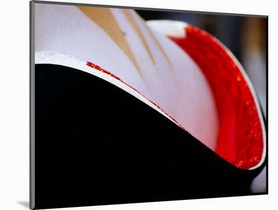 Neck Surrounded by Collar of Kimono Og Geisha in Gion, Kyoto, Japan-Frank Carter-Mounted Photographic Print