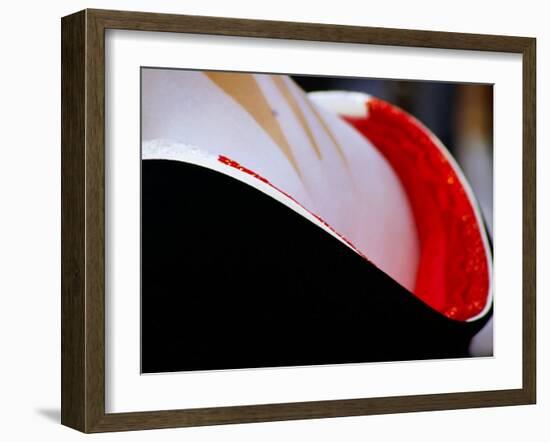 Neck Surrounded by Collar of Kimono Og Geisha in Gion, Kyoto, Japan-Frank Carter-Framed Premium Photographic Print
