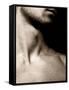 Neck-Fabio Panichi-Framed Stretched Canvas