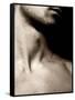 Neck-Fabio Panichi-Framed Stretched Canvas