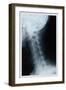 Neck-null-Framed Art Print