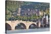 Neckar River with Karl Theodor Bridge-Markus-Stretched Canvas
