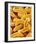 Necklace Chain-Micro Discovery-Framed Photographic Print