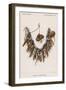 Necklace of Human Fingers-null-Framed Giclee Print