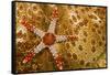 Necklace seastar (Fromia monilis) on Sea cucumber (Bohadaschia argus) Yap, Micronesia-David Fleetham-Framed Stretched Canvas