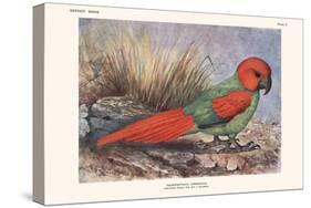 Necripsittacus Borbonicus-Lionel Walter Rothschild-Stretched Canvas