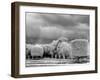 Necropolis De Colon, Havana, Cuba-Carol Highsmith-Framed Photo