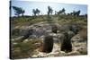 Necropolis of Puig Des Molins, Ibiza, Balearic Islands, Spain-null-Stretched Canvas