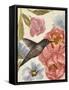 Nectar's Sip I-Annie Warren-Framed Stretched Canvas
