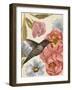 Nectar's Sip I-Annie Warren-Framed Art Print