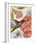 Nectar's Sip I-Annie Warren-Framed Art Print