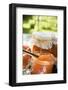 Nectarine Jam in Jars on Table in the Open Air-Eising Studio - Food Photo and Video-Framed Photographic Print