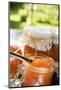 Nectarine Jam in Jars on Table in the Open Air-Eising Studio - Food Photo and Video-Mounted Photographic Print