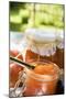 Nectarine Jam in Jars on Table in the Open Air-Eising Studio - Food Photo and Video-Mounted Photographic Print