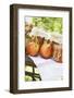 Nectarine Jam in Jars on Table in the Open Air-Eising Studio - Food Photo and Video-Framed Photographic Print