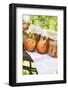 Nectarine Jam in Jars on Table in the Open Air-Eising Studio - Food Photo and Video-Framed Photographic Print